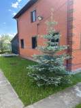 Купить дом на участке  соток , фотография 8