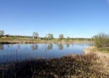 Куплю участок 8.0 соток , фотография 4