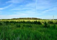 Куплю участок 9.9 соток , фотография обложки