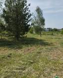 Продать участок 10.0 соток , фотография 2
