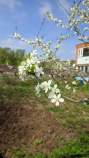 Купить 2-комнатную квартиру , фотография 7