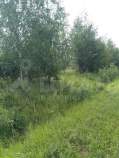 Куплю участок 6000.0 соток , фотография 4
