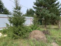 Купить участок 12.0 соток , фотография 6