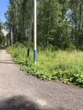 Купить участок 6.5 соток , фотография 7