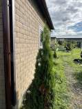 Продать участок 11.0 соток , фотография 2