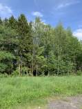 Куплю участок 7.5 соток , фотография 4