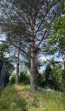 Купить участок 10.0 соток , фотография 8