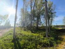 Продать участок 945.0 соток , фотография 2