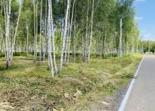 Куплю участок 5.0 соток , фотография обложки