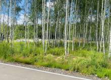 Куплю участок 5.0 соток , фотография 4