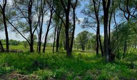 Продать участок 16.0 соток , фотография 2