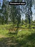 Купить участок 6.5 соток , фотография 8