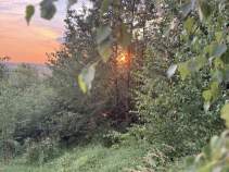Купить участок 15.0 соток , фотография 6