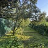 Купить участок 4.9 соток , фотография 7