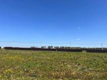 Куплю участок 7.0 соток , фотография 4