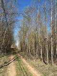 Куплю участок 12.5 соток , фотография обложки