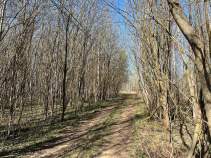 Продать участок 12.5 соток , фотография 2