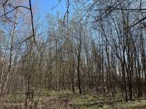 Покупка участок 12.5 соток , фотография 3