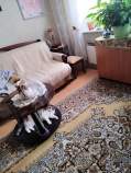 Куплю 1-комнатную квартиру , фотография обложки