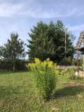 Продать участок 6.8 соток , фотография 2