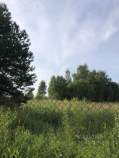 Куплю участок 6.8 соток , фотография 4