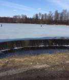 Покупка участок 8.0 соток , фотография 3