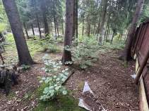 Продать участок 7.5 соток Московская область, Подольск, Москва, Троицкий административный округ, район Вороново, СНТ «Звезда», улица Победы Продать участок 7.5 соток , фотография 2