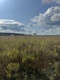 Куплю участок 5.5 соток , фотография 4