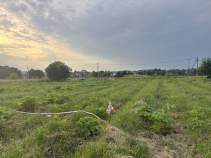Куплю участок 16.0 соток , фотография 4