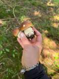 Продать дом на участке  соток , фотография 2