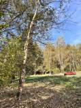Купить участок 7.5 соток , фотография 5