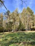 Купить участок 7.5 соток , фотография 6