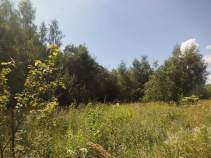 Купить участок 11.0 соток , фотография 7