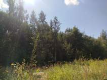 Купить участок 11.0 соток , фотография 8