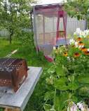 Куплю участок 4.0 соток , фотография 4