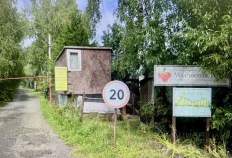 Покупка участок 12.0 соток , фотография 3