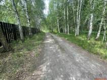 Куплю участок 12.0 соток , фотография 4