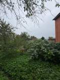 Куплю участок 5.5 соток , фотография 4