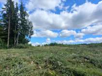 Купить участок 10.0 соток , фотография 9