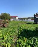 Куплю участок 6.0 соток , фотография 4
