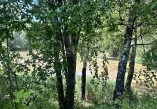 Куплю участок 5.0 соток , фотография обложки