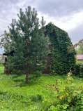Купить участок 6.0 соток , фотография 9