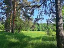 Куплю участок 11.0 соток , фотография 4