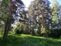 Купить участок 11.0 соток , фотография 6