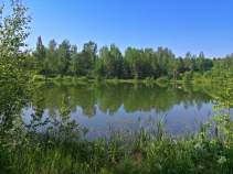 Купить участок 11.0 соток , фотография 7