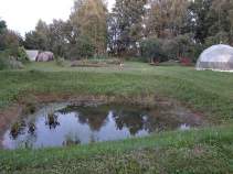 Купить участок 30.0 соток , фотография 5