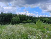 Продать участок 5.0 соток , фотография 2