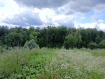 Куплю участок 5.0 соток , фотография 4