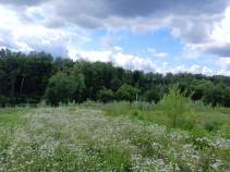 Купить участок 5.0 соток , фотография 5