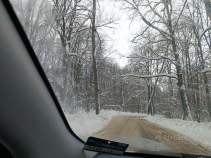 Покупка участок 5.0 соток , фотография 3